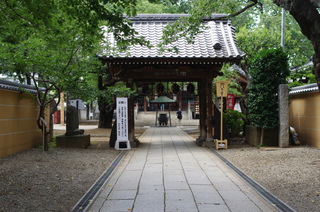IMGP4808.jpg
