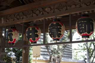 IMGP4813.jpg