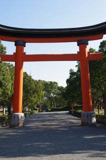 IMGP5071.jpg