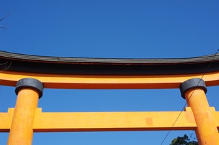 IMGP5091.jpg